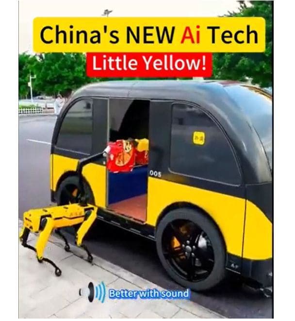 What makes these tiny electric cars such a massive success? Let’s break it down: image