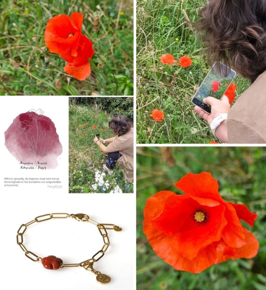 Op jacht naar het perfecte plaatje image