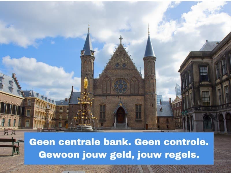 Ze noemen het beleid. Ik noem het diefstal. image