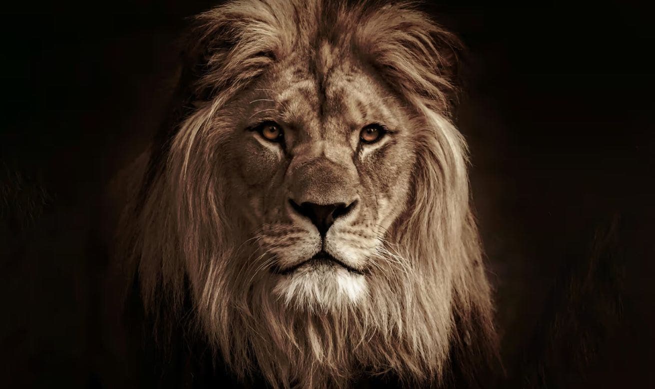 Risk management helps tamp down fear, but it isn’t enough image