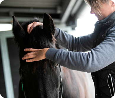 Iris with hands gently placed on the head of a dark horse in an indoor stable setting